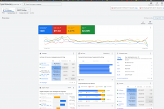 Over $2M Spent on Google Ads In Past 365 Days (PROFITABLY)